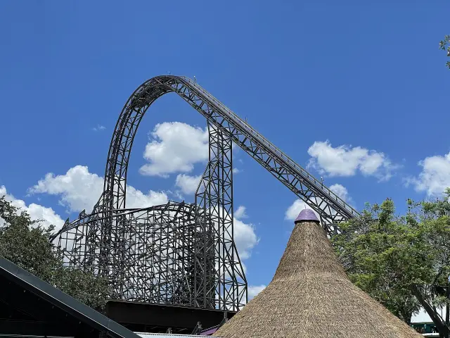 Iron Gwazi roller coaster at Busch Gardens Tampa Bay, Tampa, Florida